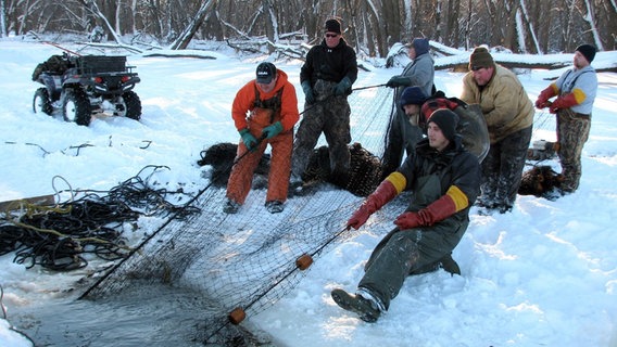 Das Eisfischen am Mississippi lohnt sich: Die Netze sind voll  Großmaul-Büffelfische und fette Karpfen brauchen nur noch aus dem Wasser gezogen zu werden. © NDR/National Geographic Channel 