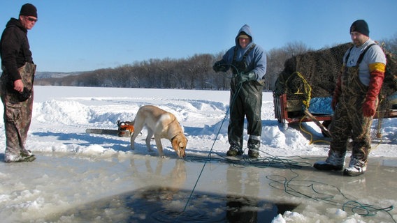 Eisfischen am Mississippi: Sobald die Eisdecke trägt und sich der Mississippi mit schweren Schneemobilen befahren lässt, bereiten die Männer eine besondere Form des Fischfangs vor: Mit Motorsägen schneiden sie riesige Löcher ins Eis, um an den begehrten Fisch zu gelangen. © NDR/National Geographic Channel 