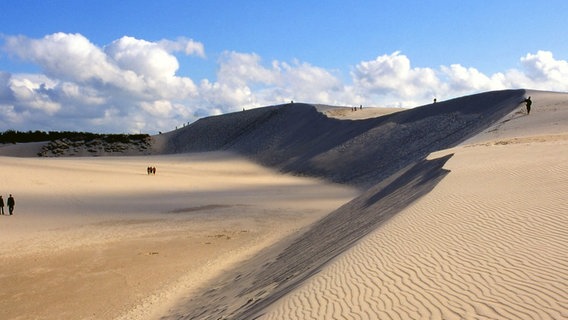 Die Wanderdünen im Slowinski Nationalpark - die riesigen Sandflächen werden von den Einheimischen auch polnische Sahara genannt. © NDR/Naturfilm 2006 