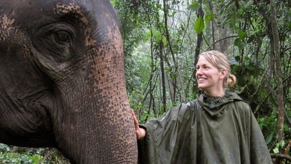 Kamerafrau Christina Karliczek freundet sich mit einem der Elefanten an, der dem Team im dichten Regenwald als Transportmittel dient. © NDR/Christina Karliczek/NDR Naturfilm 