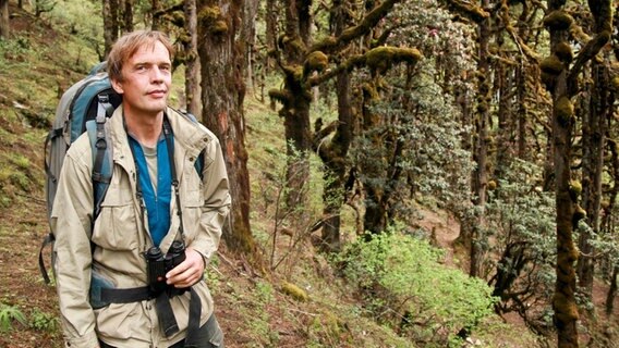 Kameramann Henry Mix sucht im Himalaja nach Spuren von Tigern und Roten Pandas. Selbst auf über 3.000 Meter Höhe bedeckt noch dichter Bergwald die Hänge. © NDR/Christina Karliczek/NDR Naturfilm 
