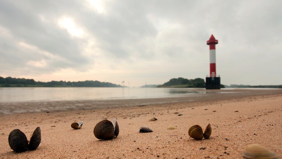 Bei Bremerhaven mündet die Weser in die Nordsee. © NDR/Klaus Weißmann 