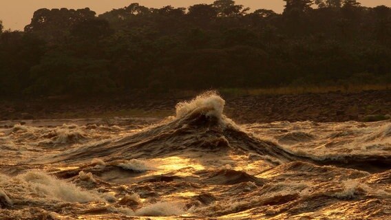 Nachdem der Kongo die großen Wasserfälle der Livingstonefälle überwunden hat, türmt er sich zu meterhohen Wellen auf. © NDR/Doclights GmbH/Blue Planet Film 