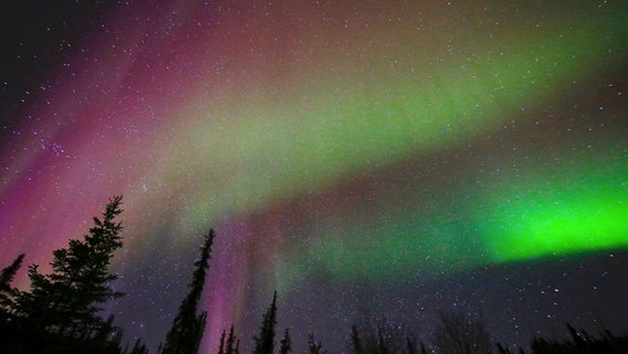 Das Polarlicht (auch: Aurora borealis) entsteht durch das Auftreffen geladener Teilchen des Sonnenwindes auf die Erdatmosphäre. © NDR/NDR Naturfilm/doclights/Uwe Anders 