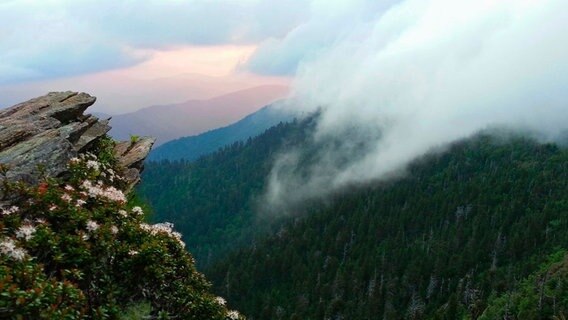 In den Smokies schwankt der jährliche Niederschlag zwischen 140 cm in den Tälern und 215 cm auf einigen Gipfeln  Rang 2 in der Regentabelle hinter dem pazifischen Nordwesten. © NDR/Doclights GmbH 