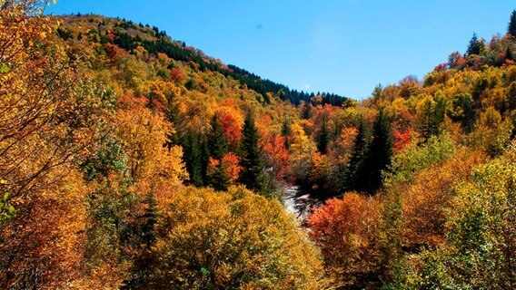 Während der letzten warmen Tage im Jahr sind die Great Smoky Mountains in alle nur erdenklichen Farbtöne getaucht. Die Herbstfarben sind eine spektakuläre Sehenswürdigkeit in den südlichen Appalachen. © NDR/Doclights GmbH 