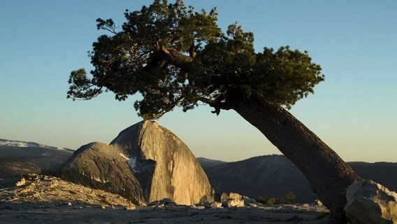 Der Half Dome aus der Sicht des Sentinal Domes. © NDR/NDR Naturfilm/doclights 