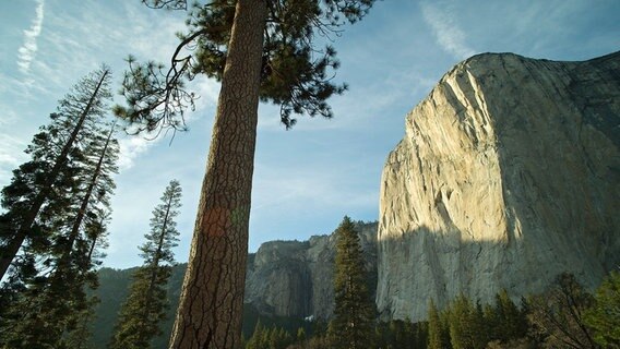 Der El Capitan ragt über 900 Meter in die Höhe und ist eine der beliebtesten Herausforderungen für Felskletterer und Base Jumper der Welt. © NDR/NDR Naturfilm/doclights 