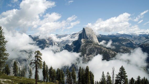 Geschützt seit 1864, folgte 1890 die Gründung zum Yosemite Nationalpark. © NDR/NDR Naturfilm/doclights 
