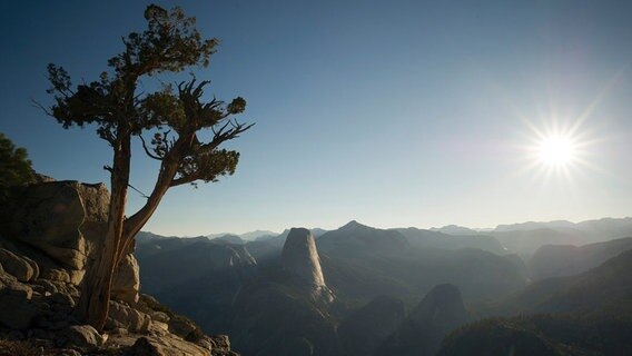 Der Yosemite Nationalpark bedeckt eine Fläche von über 3.000 km². © NDR/NDR Naturfilm/doclights 