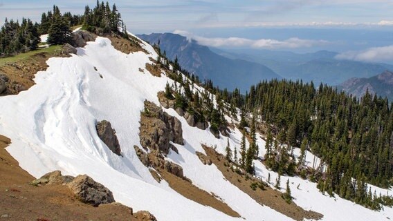 Der Hurricane Hill gehört zum Gebirge des Olympic Nationalparks. © NDR/NDR Naturfilm/Doclights GmbH 