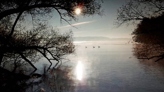 Die Winter an den Lauenburgischen Seen sind mild und stimmungsvoll. © NDR/Doclights GmbH/coraxfilm GmbH 