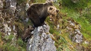 An der abwechslungsreichen Küstenlinie Nordspaniens finden sich traumhafte Buchten. © NDR/Hans-Peter Kuttler 