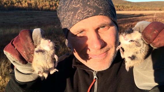 Autor und Regisseur Zoltan Török ist während der langen Drehzeit zu einem großen Lemming-Fan geworden. © NDR/Doclights GmbH NDR Naturfilm 