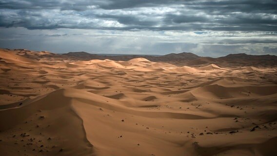 In Nordafrika grenzt die größte Wüste der Welt an das Mittelmeer: die Sahara. © NDR/NDR Naturfilm/doclights/Blue Planet Film 