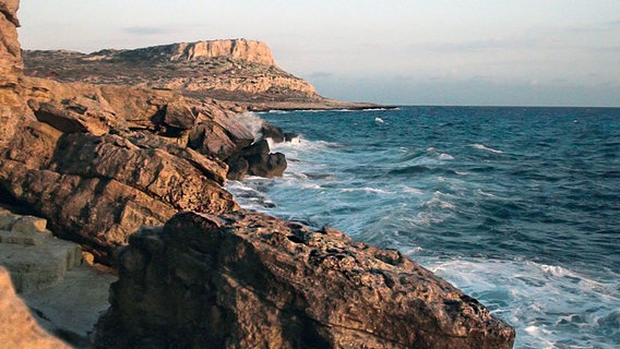 Das Meer vor Zypern ist die neue Heimat des Rotfeuerfisches. © NDR/NDR Naturfilm/Blue Planet Film 