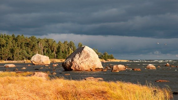 Der Lahema Nationalpark im Norden Estlands ist geprägt von riesigen Felsbrocken. © NDR/Christoph Hauschild 