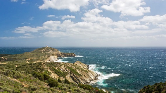 Sardinien gilt zu Recht als echtes Naturjuwel: Hier gibt es an der Küste noch weite, unverbaute Abschnitte. © NDR Naturfilm /doclights/Gabriele Mastrilli 