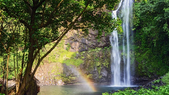 Biokos Luara Wasserfall. © NDR/DOCLIGHTS GMBH/Tania Escobar 
