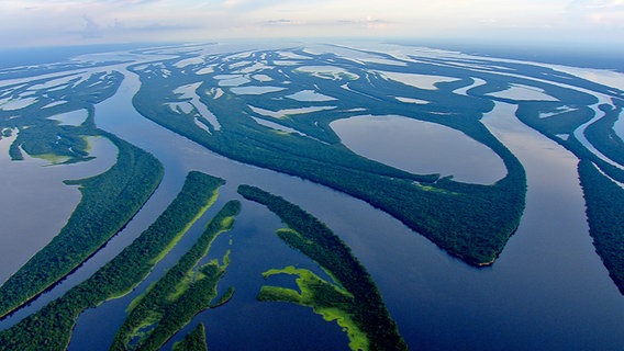 Wenn im Sommer der Schnee in den peruanischen Anden schmilzt, wird das Amazonasbecken großflächig überflutet. Gut ein Fünftel Amazoniens steht dann unter Wasser  eine Fläche viermal so groß wie Deutschland. © NDR/NDR Naturfilm/Light Shadow GmbH 