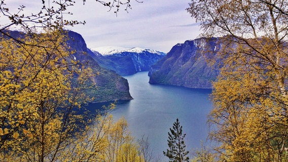 Norwegens Fjorde - bis zu 200 Kilometer ziehen sie sich von der Atlantikküste bis ins Binnenland hinein. © NDR/nautilusfilm 