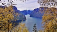 Norwegens Fjorde - bis zu 200 Kilometer ziehen sie sich von der Atlantikküste bis ins Binnenland hinein. © NDR/nautilusfilm 