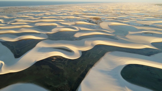 Wie ein Bettlaken sieht das riesige Dünengebiet Lençóis Maranhenses im Norden Brasiliens aus. Die gewaltige Dimension wird erst aus dem All sichtbar. Wie ein Bettlaken sieht das riesige Dünengebiet Lençóis Maranhenses im Norden Brasiliens aus. Die gewaltige Dimension wird erst aus dem All sichtbar. © NDR/doclights/BBC