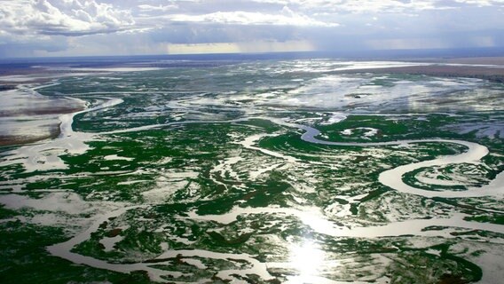 Im Nordosten Sambias liegt Bangweulu, eines der größten Sumpfgebiete Afrikas. © NDR/Doclights GmbH/Blue Planet Film 