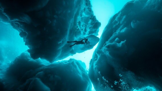 Eistauchen ist eine faszinierende Herausforderung für die Unterwasser Kamerafrau Christina Karliczek. © NDR/Doclights GmbH(BLACK CORAL FILMS AB 