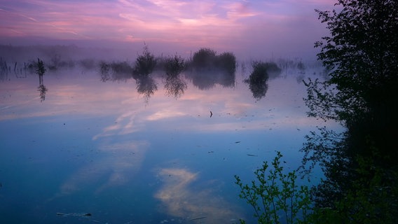 Sonnenaufgang im Toten Moor, einem der großen Moorgebiete im Norden des Steinhuder Meeres. © NDR/Doclights GmbH/Ralph und Svenja Schieke 