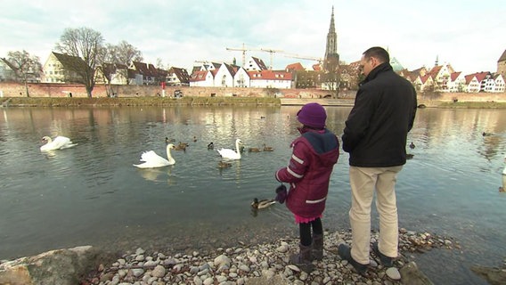 Ein Mann und ein Kind Füttern Enten an einem Fluss.  