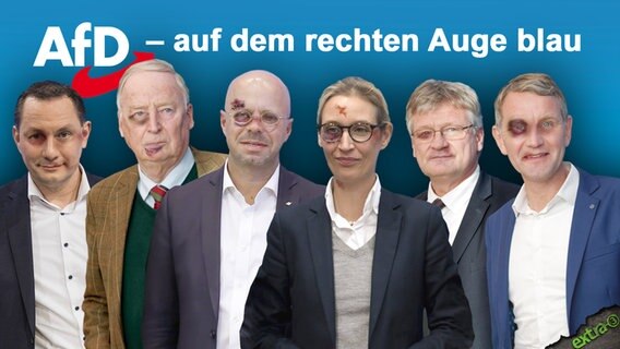 Georg Pazderski, Alexander Gauland, Andreas Kalbitz, Alice Weidel, Jörg Meuthen und Björn Höcke sind auf dem rechten Auge blau.  
