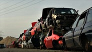 Verschrottete Autos in einer langen Reihe angeordnet © NDR 