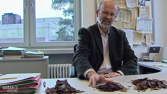 Arno Traut vom Abfallwirtschaftsbetrieb Oldenburg sortiert auf seinem Schreibtisch Laubhaufen. © NDR Foto: Screenshot