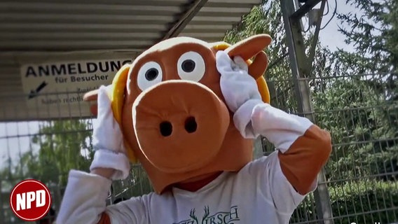 In dem Ausschnitt aus einem NPD-Werbevideo fasst sich ein Mensch im Schweinchenkostüm an den Kopf. © NDR Foto: Screenshot