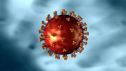 Das HI-Virus  