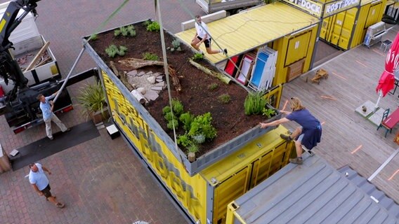 Eine begrünte Containerbodenplatte wird auf das Dache eines zweiten Containers gehoben. © NDR/nonfiction planet 