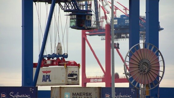 Ein Kran zieht einen Schiffscontainer hoch. © NDR 