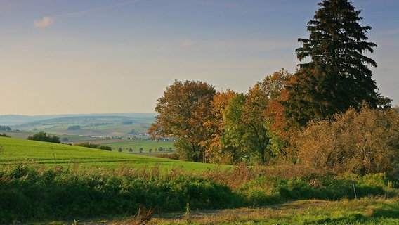 Herbstlandschaft bei Hameln. © NDR Foto: Karsten Buchholz, Hameln