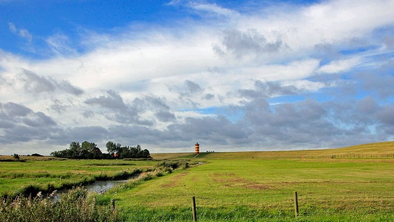 Landschaft Krummhörn mit dem Pilsumer Leuchtturm © NDR Foto:  Karin Wilkerling, Bispingen