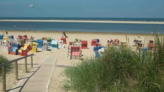 Blick auf Strandkörbe auf Langeoog. © NDR Foto: Werner Wulf