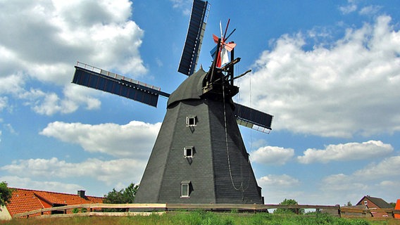 Steinhuder Windmühle Paula. © NDR Foto: Manfred Riehl, Wunstorf