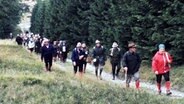 Mitglieder des Hamburger Wandervereins wandern durch den Wald.  