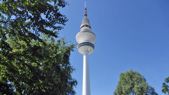 Ein Blick von unten auf den Fernsehturm vor wolkenlosem Himmel, seitlich ragen ein paar Bäume ins Bild. © Bernd-Otto Wippel Foto: Bernd-Otto Wippel