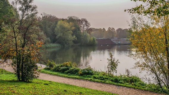 Blick auf den Stadtpark See © NDR Foto: Eduard Valentin