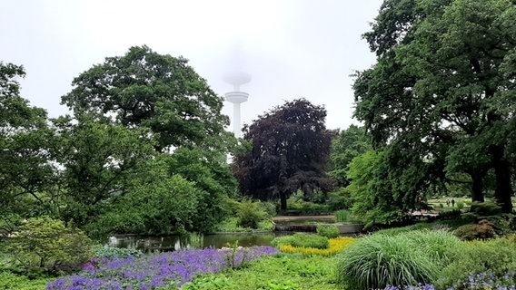 Der Fernsehturm ist hinter dem Park Planten un Blomen von Wolken verdeckt. © NDR Foto: Manfred Lorkowski