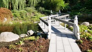 Brückenpfad im japanischen Garten im Loki Schmidt Garten bei Sonnenschein. © NDR Foto: Eduard Valentin