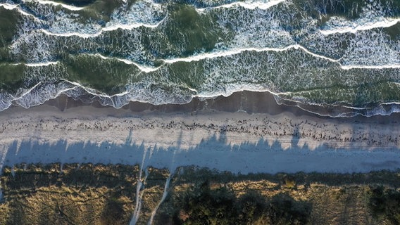 Luftaufnahme von Wellenbrechen am Sandstrand von Gedesby in Dänemark.  Foto: Franziska Husmann