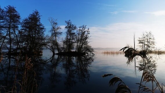 Ausblick auf den Schweriner See © NDR Foto: Heinz Galling