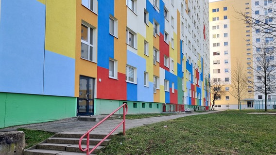 Die Platte wird bunt. © NDR/Kerstin Rexrodt 